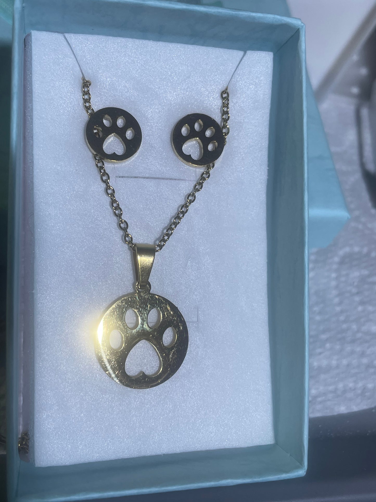 Circular Hollow Paw Stainless Steel Necklace & Earrings Set