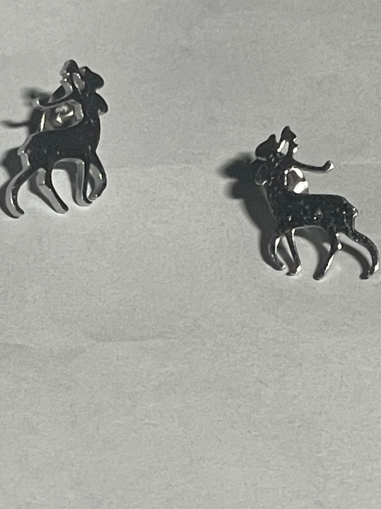 Stainless Steel Animal Earrings (excluding cats/dogs & wolves)