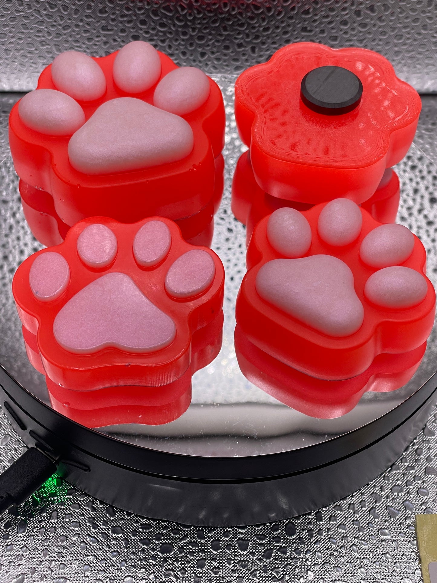 Paw Fridge Magnets