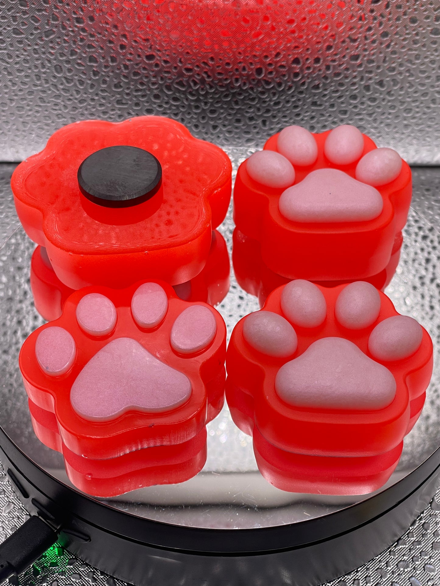 Paw Fridge Magnets