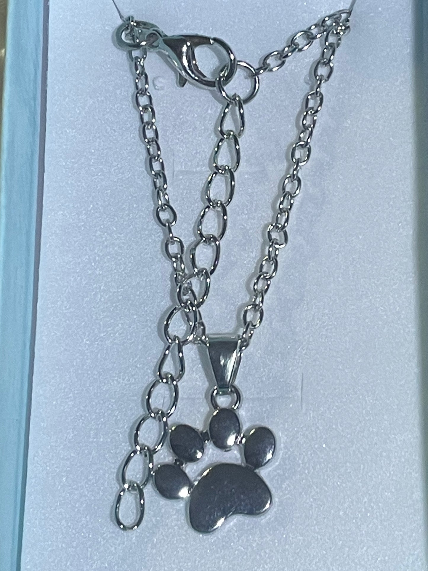 Silver Coloured Paw Pendant & Chain