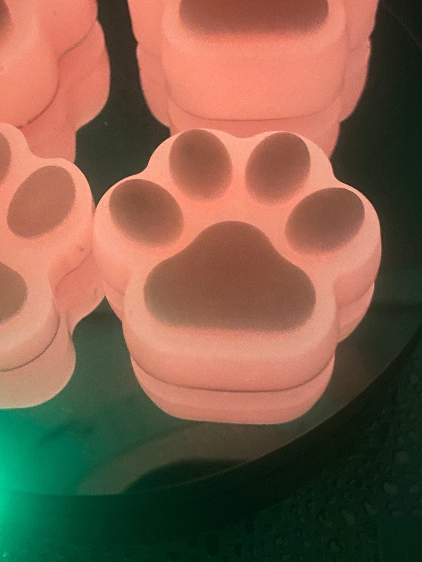 Paw Fridge Magnets