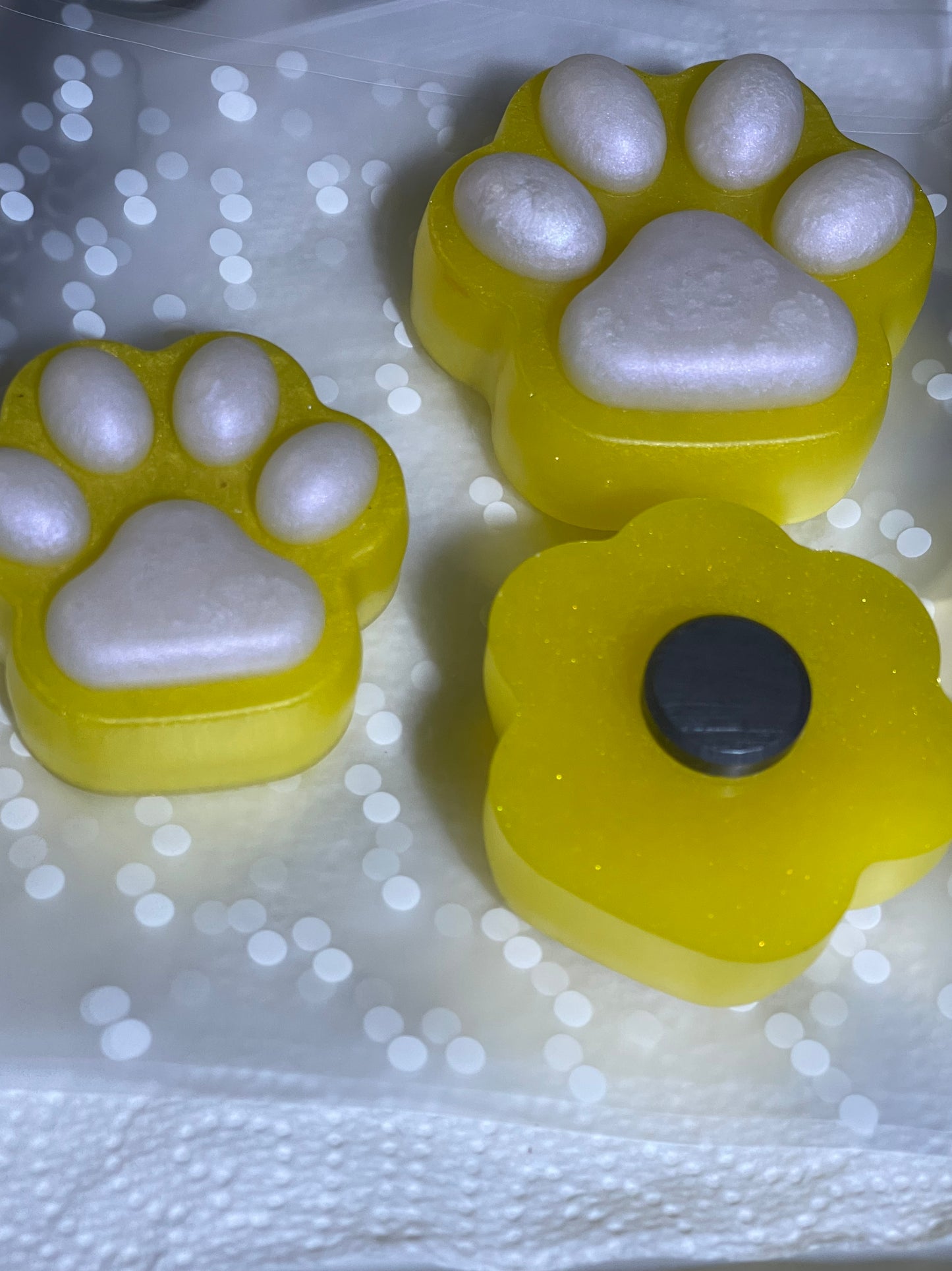 Paw Fridge Magnets