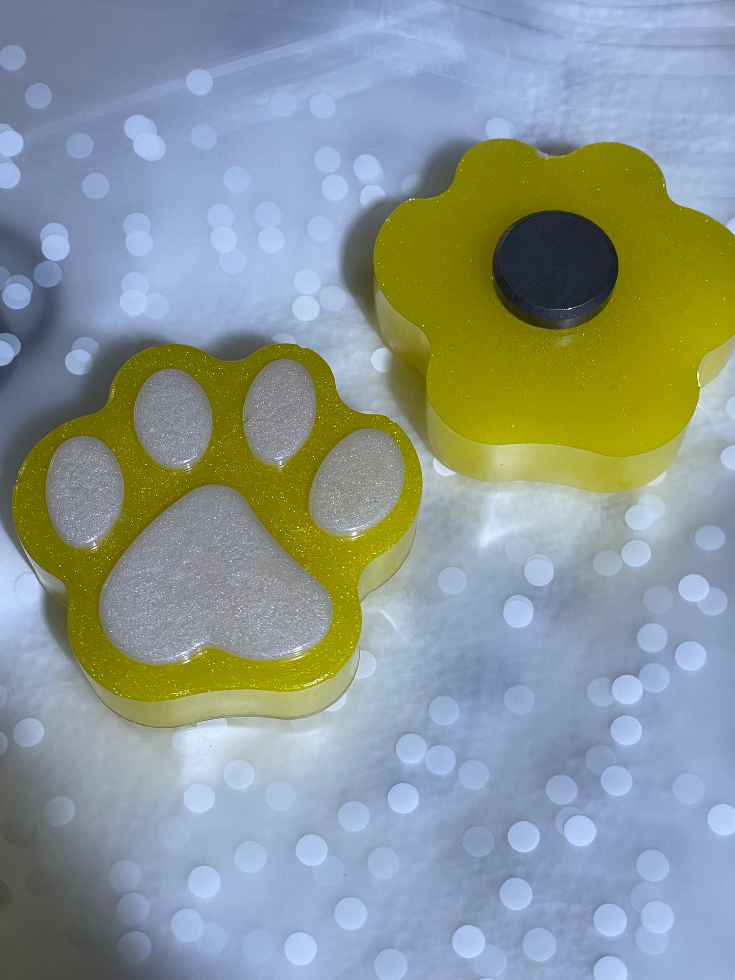 Paw Fridge Magnets