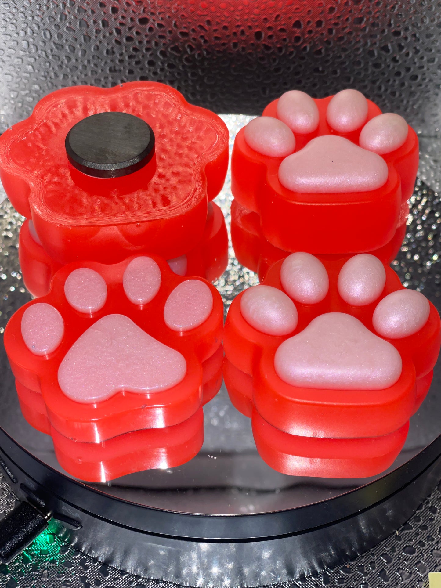 Paw Fridge Magnets