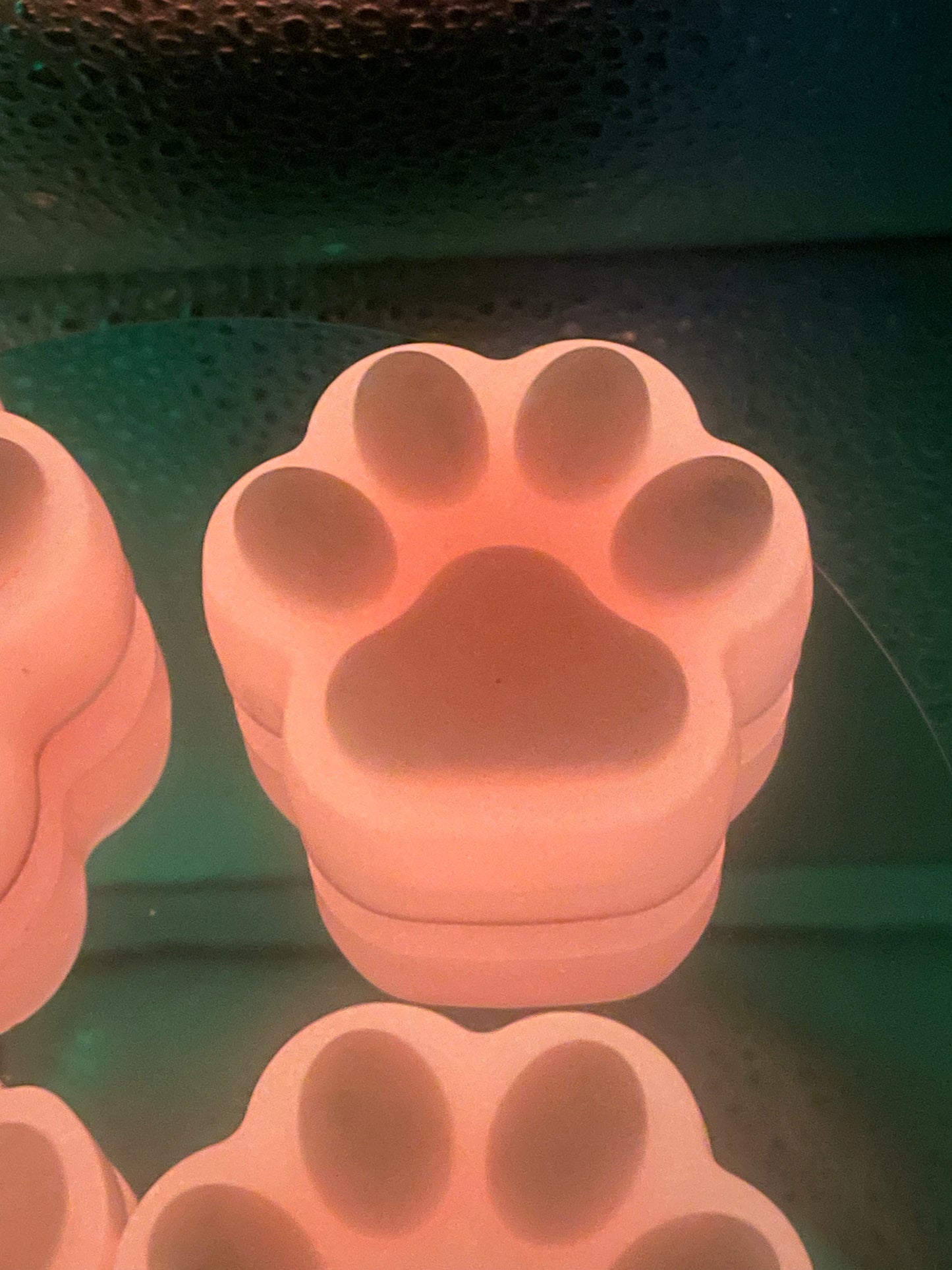 Paw Fridge Magnets