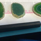 Green Agate Slice